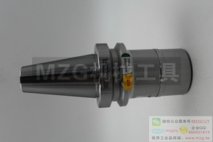 進(jìn)口高速高精度NBT30-GSK10/16-60100特價(jià)促銷(xiāo)無(wú)鍵槽無(wú)風(fēng)阻動(dòng)平衡