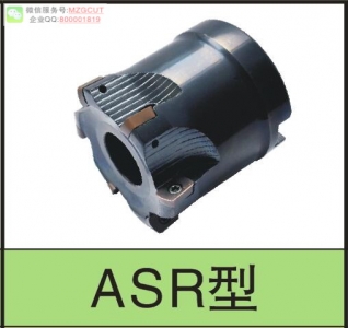 進(jìn)口ASR機(jī)夾式快進(jìn)給銑刀盤(pán)裝日立EPNW/T06/0803/10T3/13T4TN-810