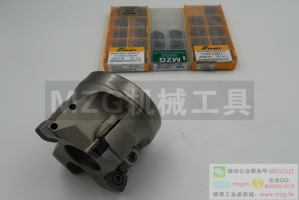 進(jìn)口SKS機(jī)夾式快進(jìn)給銑刀盤裝黛杰WO/DMW/T04T205006T3080510X620