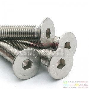 平頭內(nèi)六角螺絲
