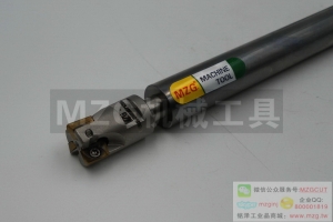 進(jìn)口機(jī)夾式小徑鎖牙式銑刀頭RT07/10R..裝法國(guó)Safety刀片RT..