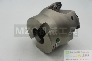 2016特價(jià)銑刀EMRW5R50-22-4T機(jī)夾式圓鼻面銑刀盤