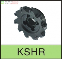 進(jìn)口TXP機(jī)夾式快進(jìn)給銑刀盤裝東芝WPMW/T06X4/080615ZSR AH120