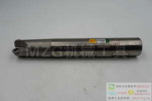 2016特價銑刀R200 C24-5R25-160-2T機(jī)夾式圓鼻立銑刀桿
