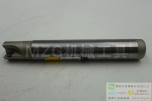 進(jìn)口特價(jià)TE90AX06/09R08/10/12-08/10/11-75/120直角臺(tái)肩精銑刀