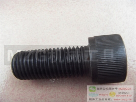 公制全牙內(nèi)六角杯頭螺釘