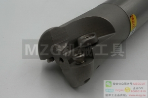 2016特價(jià)銑刀ERP5R25D20d200L2T四邊EMRW機(jī)夾式圓鼻立銑刀桿