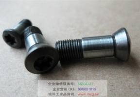 T2139機夾式半圓精銑刀桿用螺絲