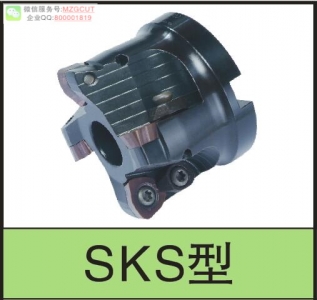 進(jìn)口SKS機(jī)夾式快進(jìn)給銑刀盤裝黛杰WO/DMW/T04T205006T3080510X620