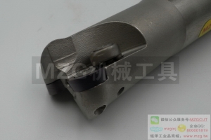 2016特價銑刀EMR C20-5R25-150-2T機(jī)夾式圓鼻立銑刀桿