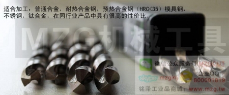 斜柄鉆頭/莫氏柄鉆頭/錐柄鉆頭