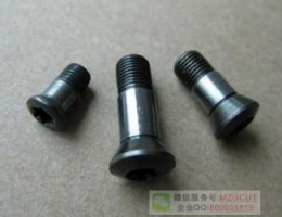 T2139機夾式半圓精銑刀桿用螺絲