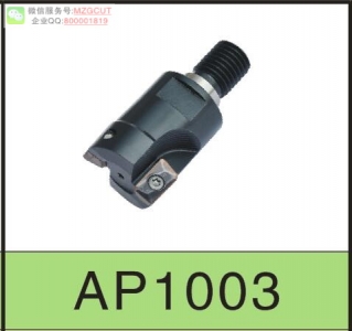 進口機夾式直角臺肩立銑刀桿AP1003裝日立APKT1003..刀片