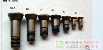 T2139機夾式半圓精銑刀桿用螺絲