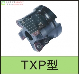 進(jìn)口TXP機(jī)夾式快進(jìn)給銑刀盤裝東芝WPMW/T06X4/080615ZSR AH120