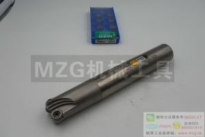 2016特價銑刀R200 C24-5R25-160-2T機(jī)夾式圓鼻立銑刀桿