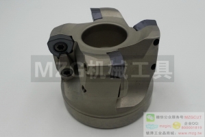 進(jìn)口SKS機(jī)夾式快進(jìn)給銑刀盤裝黛杰WO/DMW/T04T205006T3080510X620