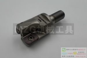 進口鎖牙式ASRM機夾式快進給銑刀頭裝日立EPNWT060803/10T3TN-810