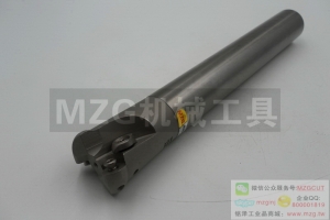 2016特價(jià)銑刀ERP5R25D20d200L2T四邊EMRW機(jī)夾式圓鼻立銑刀桿